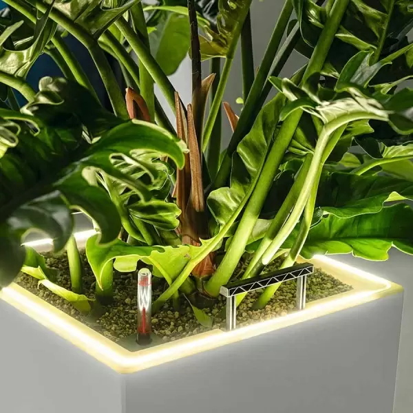 Кашпо Lechuza Canto Stone LED low Кашпо Lechuza Canto Stone LED low