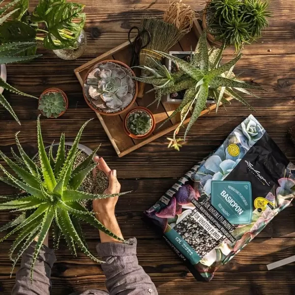 Субстрат Lechuza BASICPON