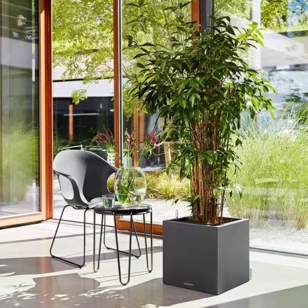 Кашпо Lechuza Canto Stone low