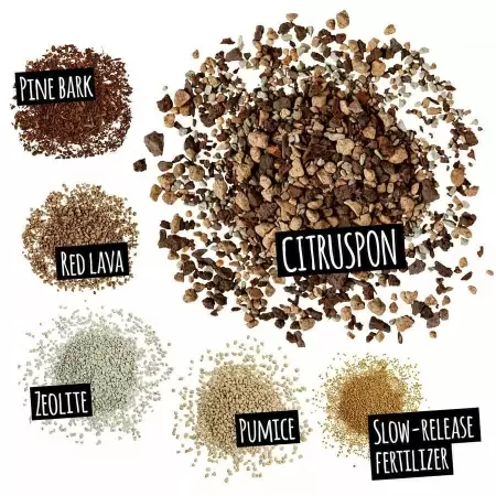 Субстрат Lechuza CITRUSPON