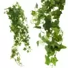 Искусственная лиана Плющ