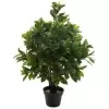 Лавр искусственное дерево