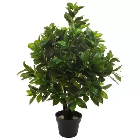 Лавр искусственное дерево
