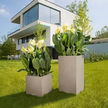 Кашпо Lechuza Canto Stone low