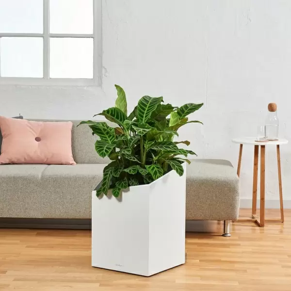 Кашпо Lechuza Cursivo Кашпо Lechuza Cursivo