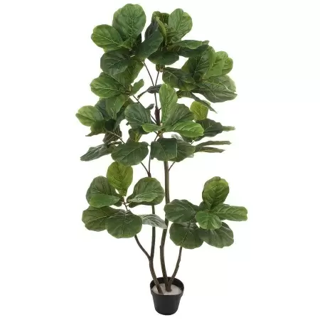 Фикус Лирата искусственный