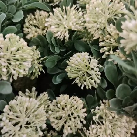 Клевер искусственный