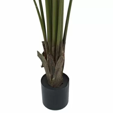 Стрелиция искусственная