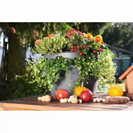 Кашпо Lechuza Cascada Color Кашпо Lechuza Cascada Color