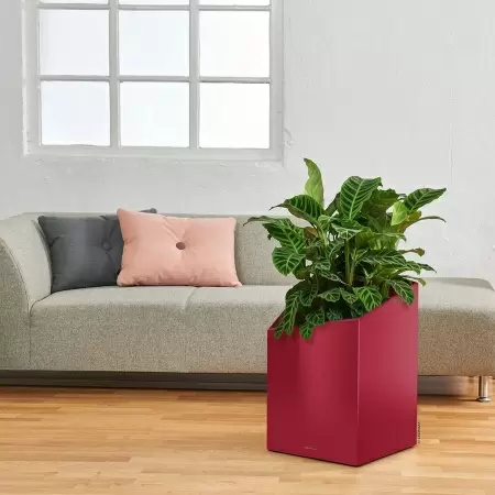 Кашпо Lechuza Cursivo