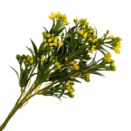 Гиперкиум искусственный Гиперкиум искусственный