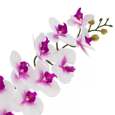 Фаленопсис силиконовый