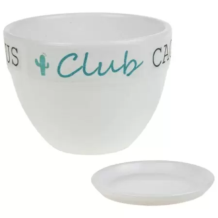 Кашпо White Cactus