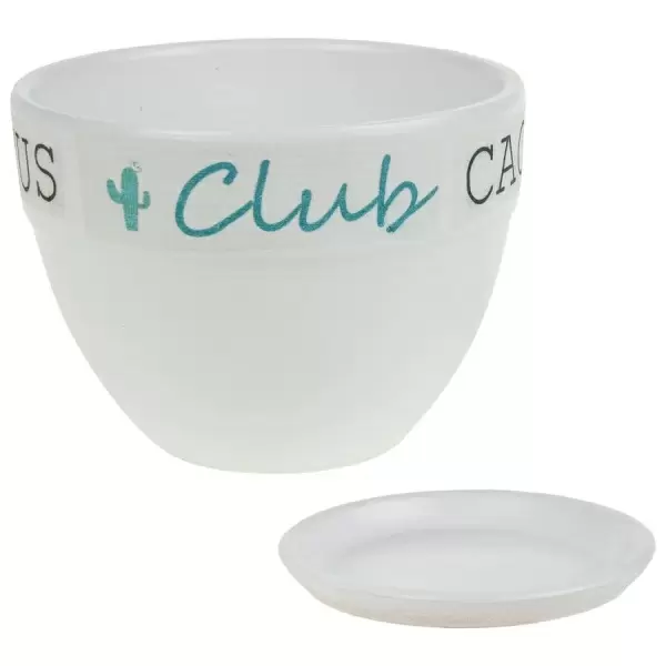 Кашпо White Cactus