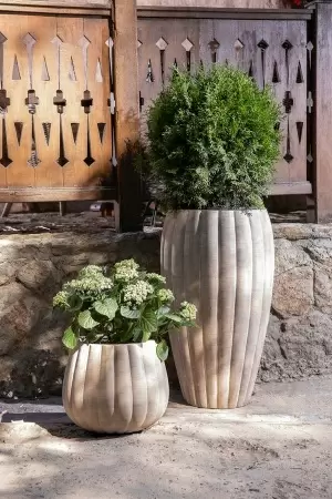 Цветочный горшок Pumpkin Rib Jaze