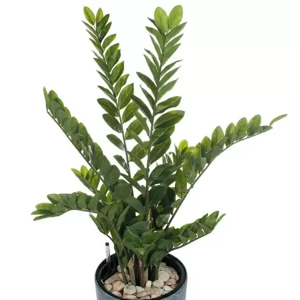 Растение искусственное Замиокулькас в горшке Vase Stone