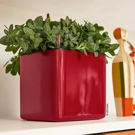 Кашпо Lechuza Cube Glossy