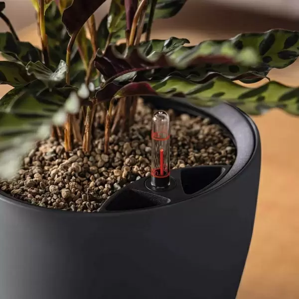 Кашпо Lechuza Classico Color LS Кашпо Lechuza Classico Color LS