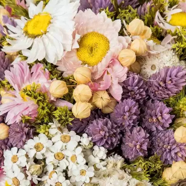 Стабилизированный букет Венера лиловый