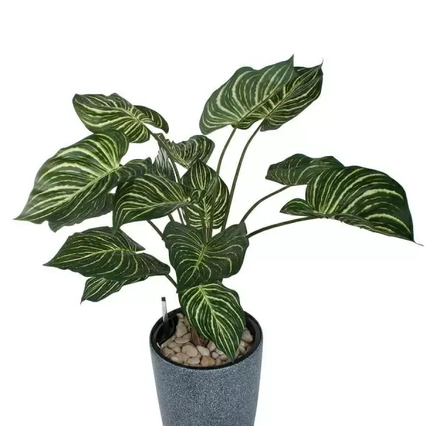 Растение искусственное Калатея в горшке Vase Stone