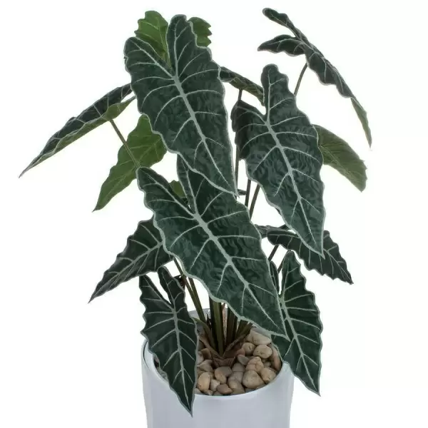 Искусственное растение Алоказия в горшке Vase Rib