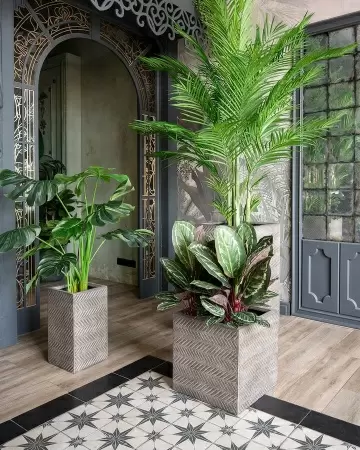 Прямоугольный горшок Wood Cube Прямоугольный горшок Wood Cube фото