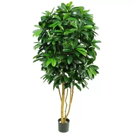 Искусственное дерево Шеффлера 