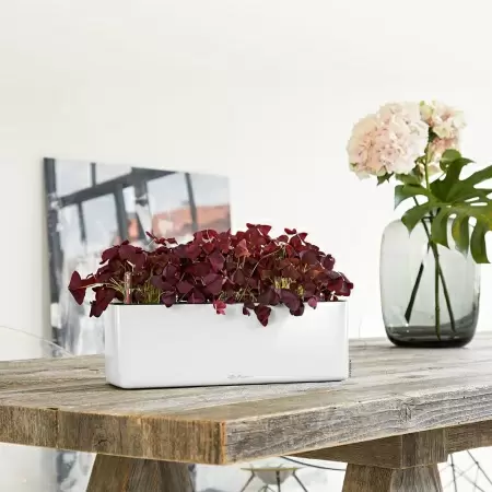 Кашпо Lechuza Cube Glossy Triple