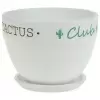 Кашпо White Cactus