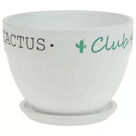 Кашпо White Cactus
