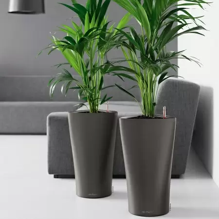 Кашпо Lechuza Delta