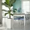 Кашпо Lechuza Cubico Color Кашпо Lechuza Cubico Color