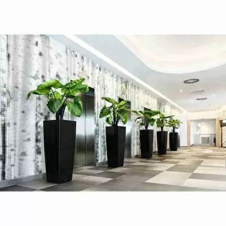 Фото Кашпо Lechuza Cubico Alto Кашпо Lechuza Cubico Alto