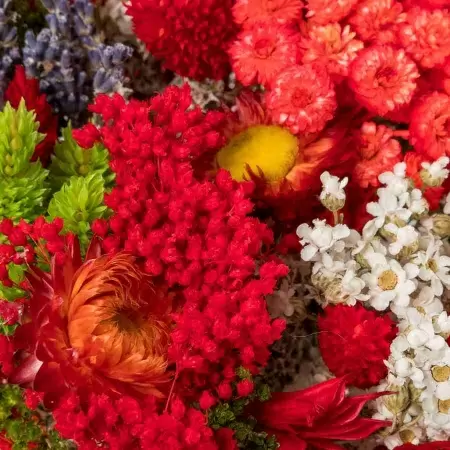 Стабилизированный букет Фантазия красный