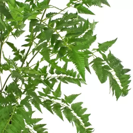 Папоротник искусственный