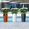 Кашпо Lechuza Cilindro Color