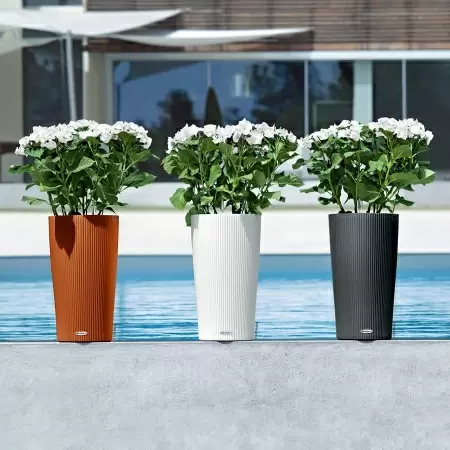 Кашпо Lechuza Cilindro Color