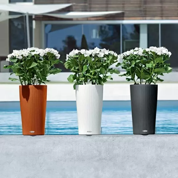 Кашпо Lechuza Cilindro Color