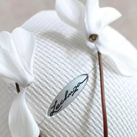 Кашпо Lechuza Puro Color