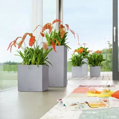 Кашпо Lechuza Canto Stone high