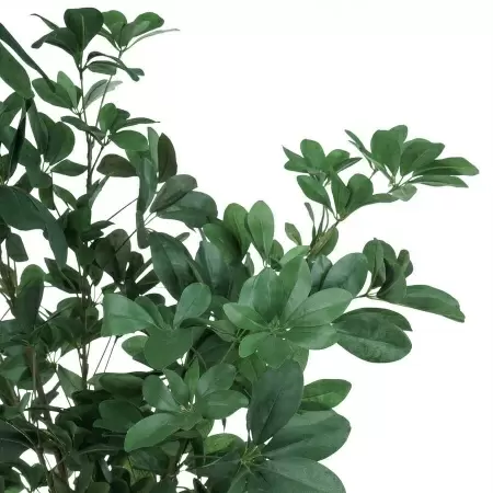 Искусственное дерево Шеффлера 