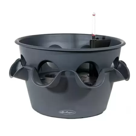 Кашпо Lechuza Cascada Color
