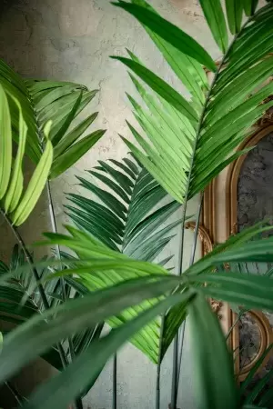 Пальма Арека искусственная Пальма Арека искусственная