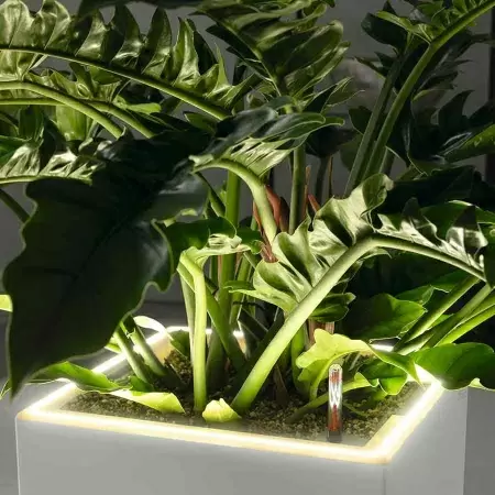 Кашпо Lechuza Canto LED Cube