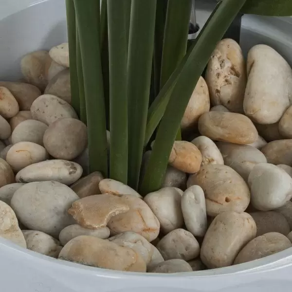 Растение искусственное Стрелиция в горшке Vase Rib