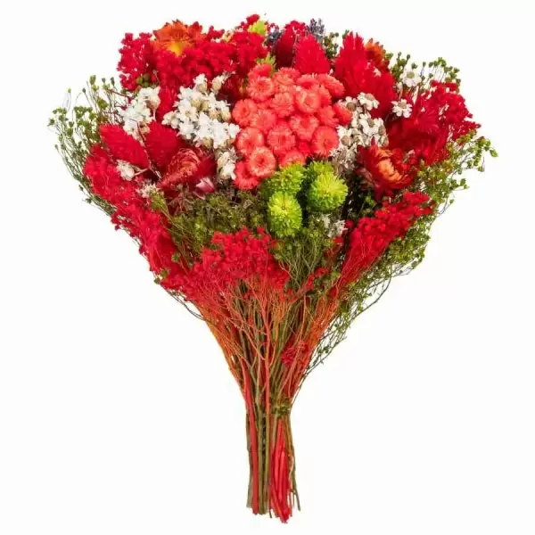 Стабилизированный букет Фантазия красный