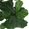 Фикус Лирата искусственный
