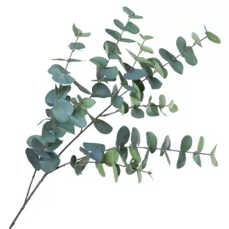 Эвкалипт ветка искусственная
