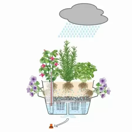 Кашпо Lechuza Cascadino Color Кашпо Lechuza Cascadino Color