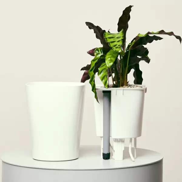 Кашпо Lechuza Deltini & MINI-Deltini